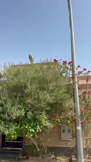  الفيديوهات