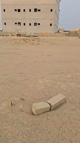 Videos