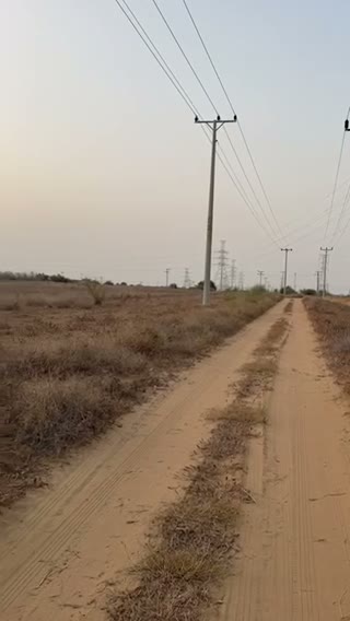Videos