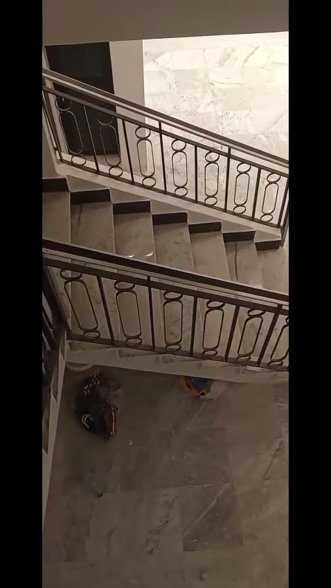 Videos