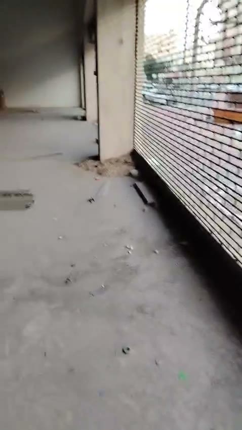 Videos