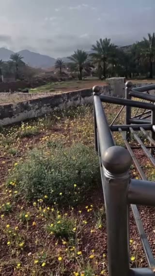 Videos