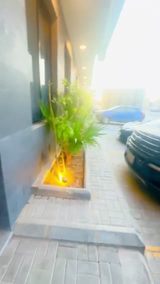  الفيديوهات
