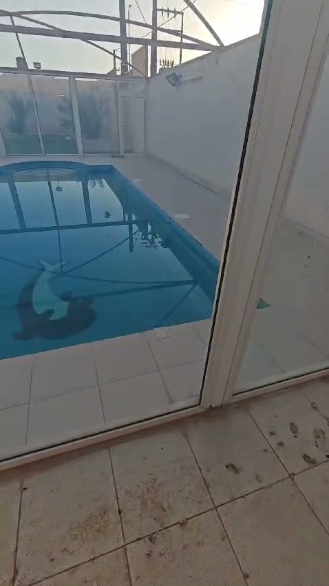  الفيديوهات