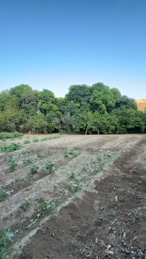 Videos