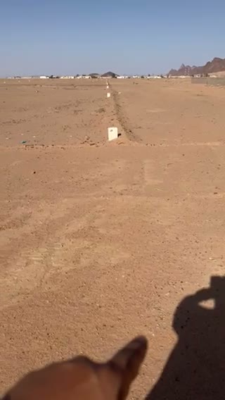 الفيديوهات