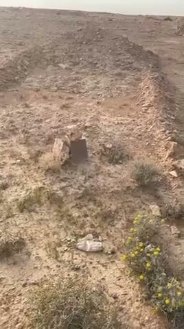 Videos