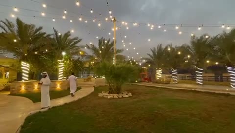  الفيديوهات