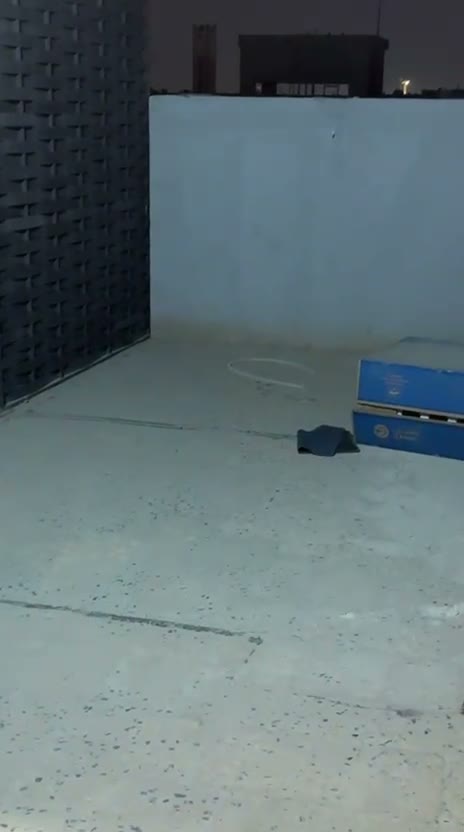Videos