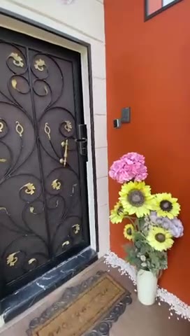  الفيديوهات