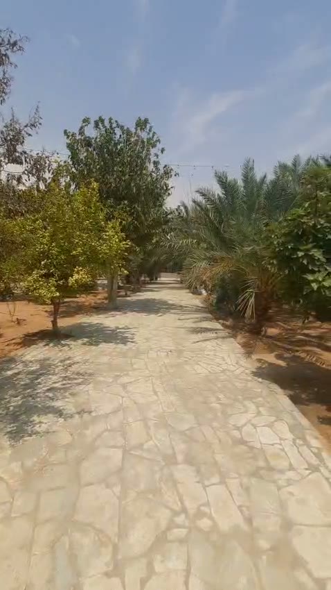  الفيديوهات