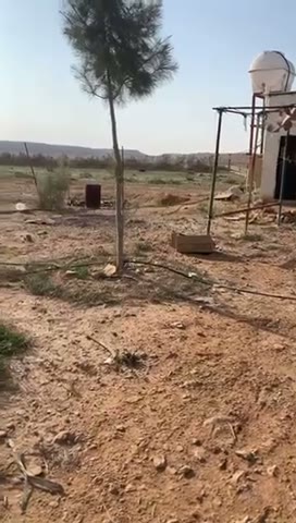 Videos