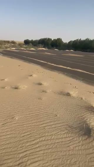 Videos