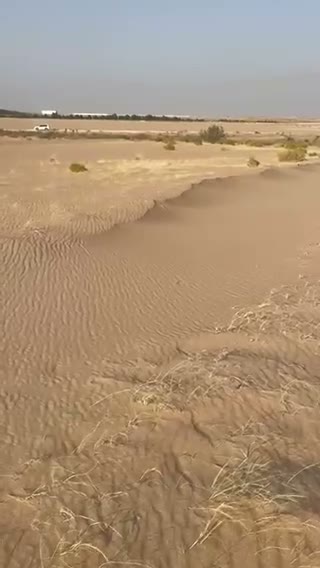 Videos