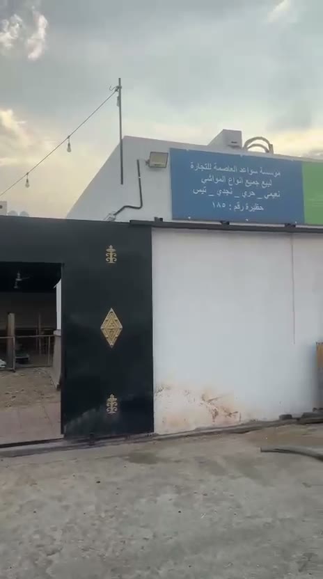  الفيديوهات