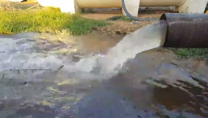 Videos
