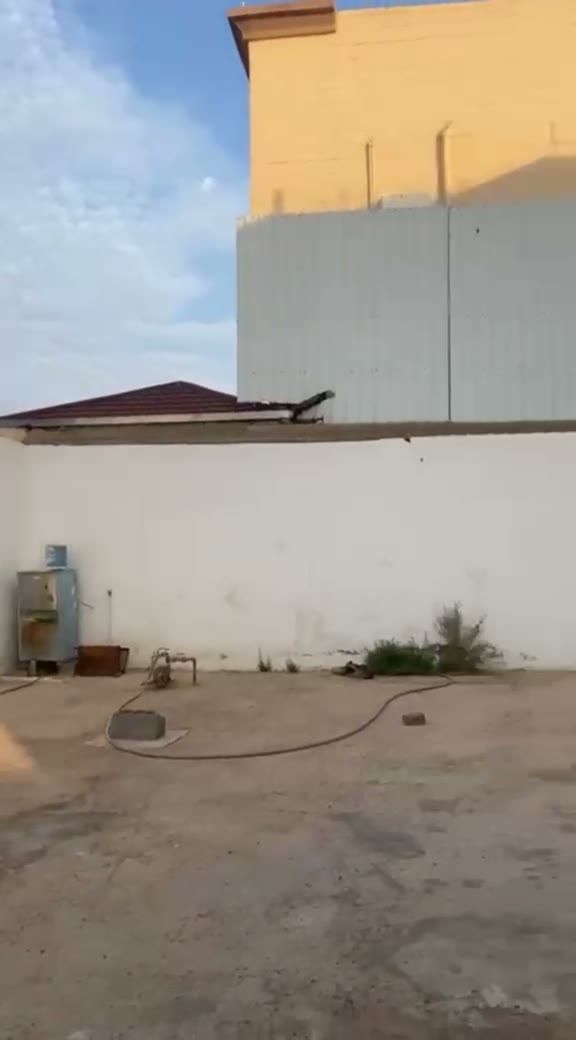  الفيديوهات