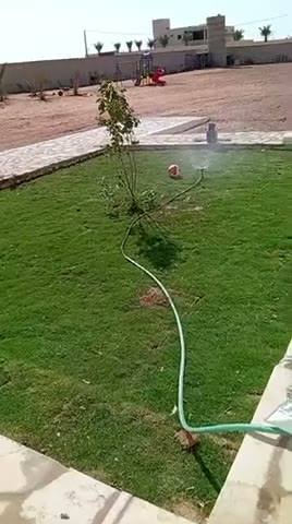 Videos