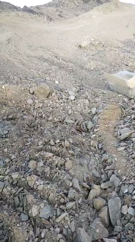 Videos