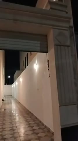 Videos