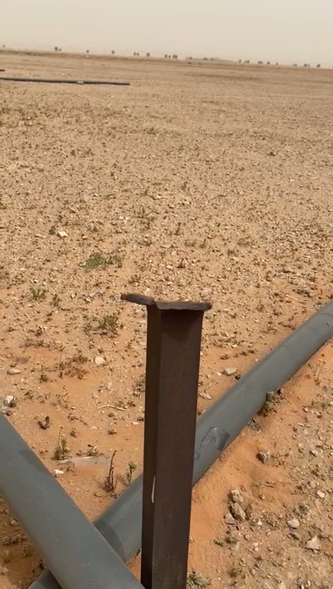 Videos