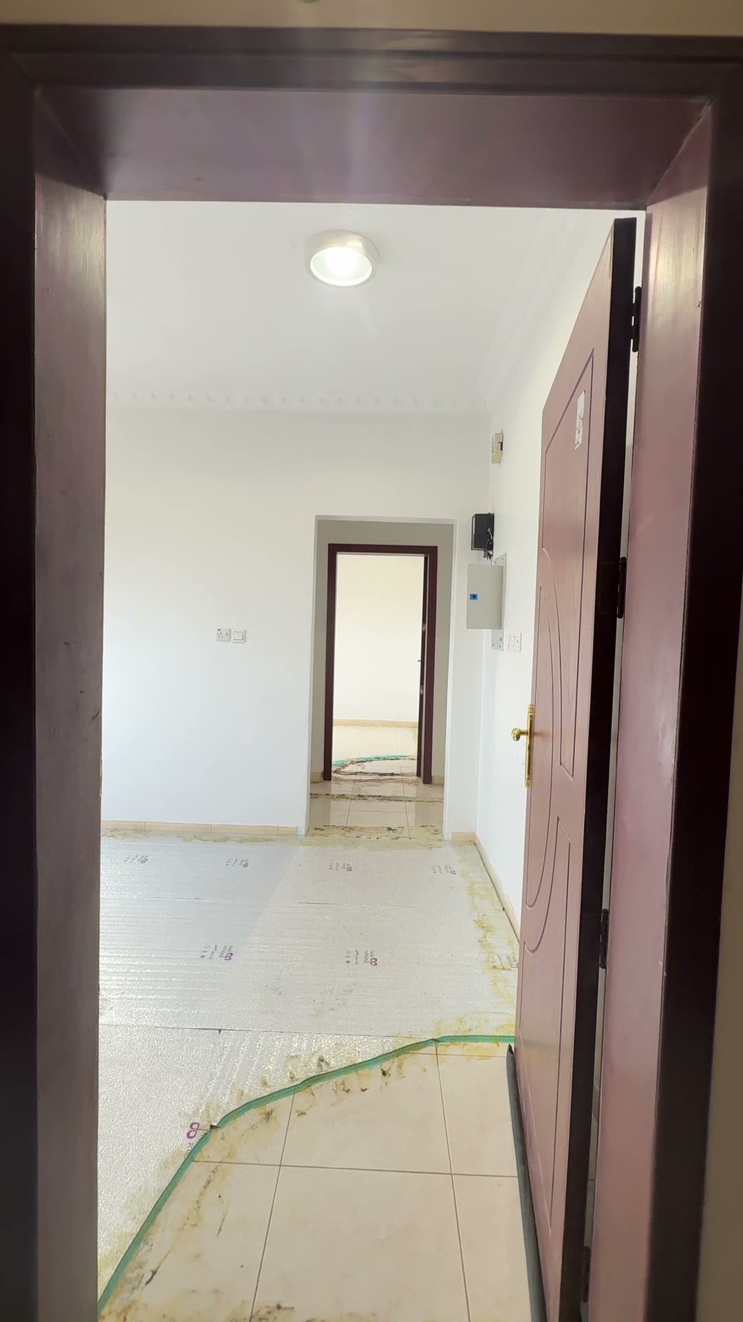  الفيديوهات