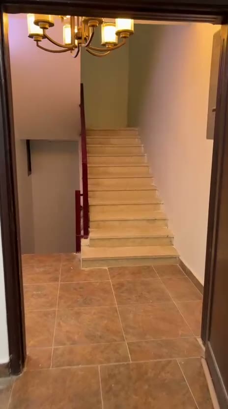 Videos