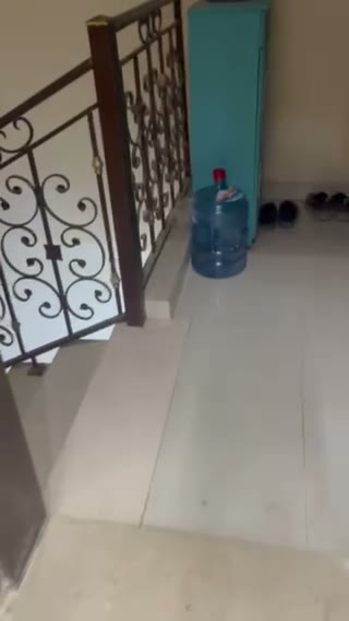 Videos