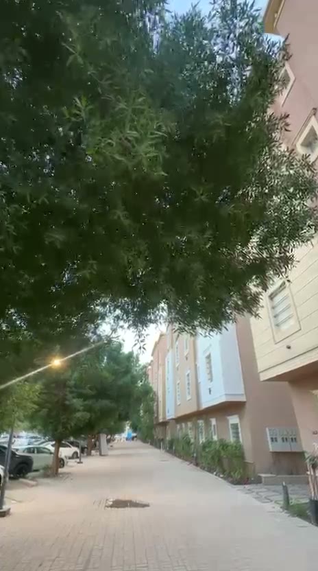  الفيديوهات