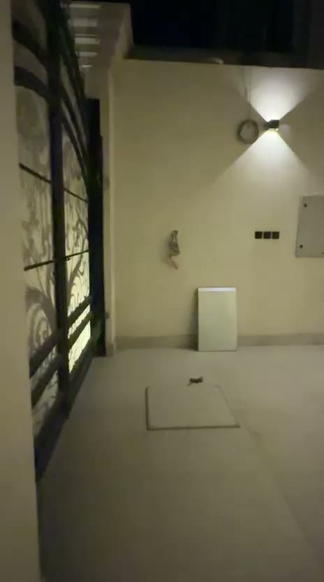 Videos