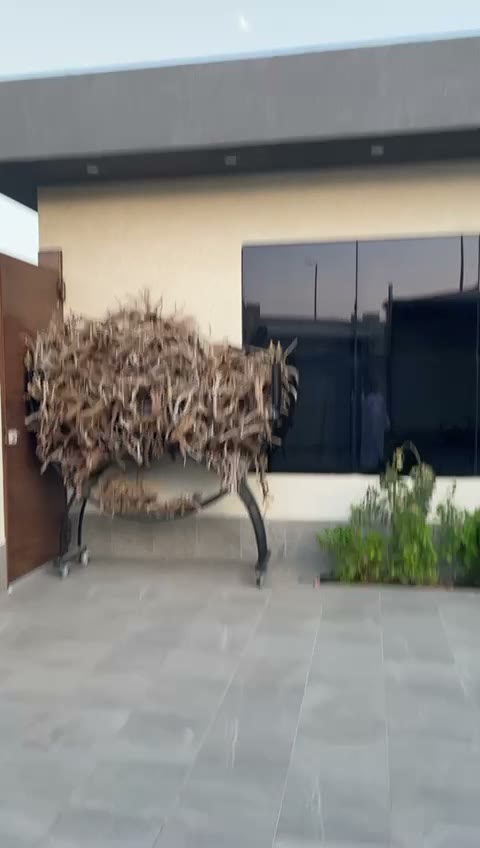  الفيديوهات