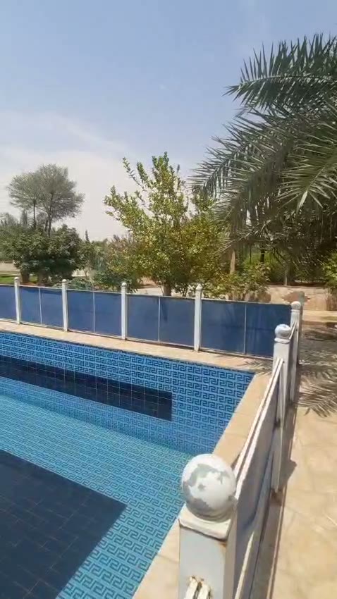  الفيديوهات
