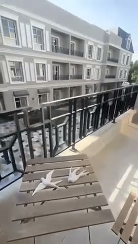 Videos