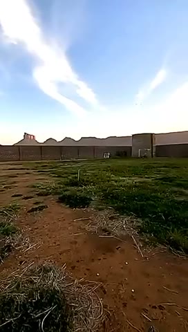 Videos