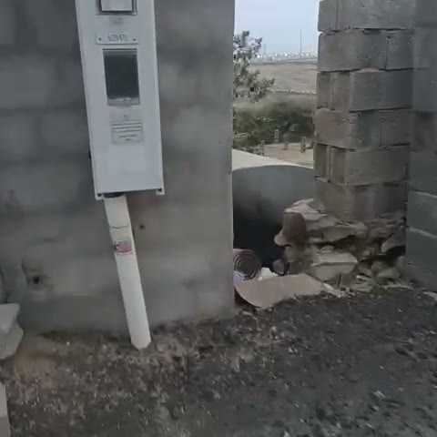 Videos