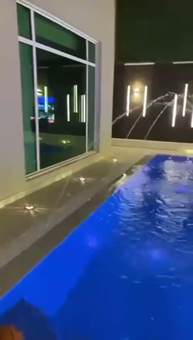  الفيديوهات