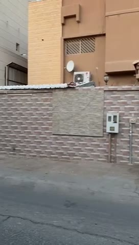 Videos