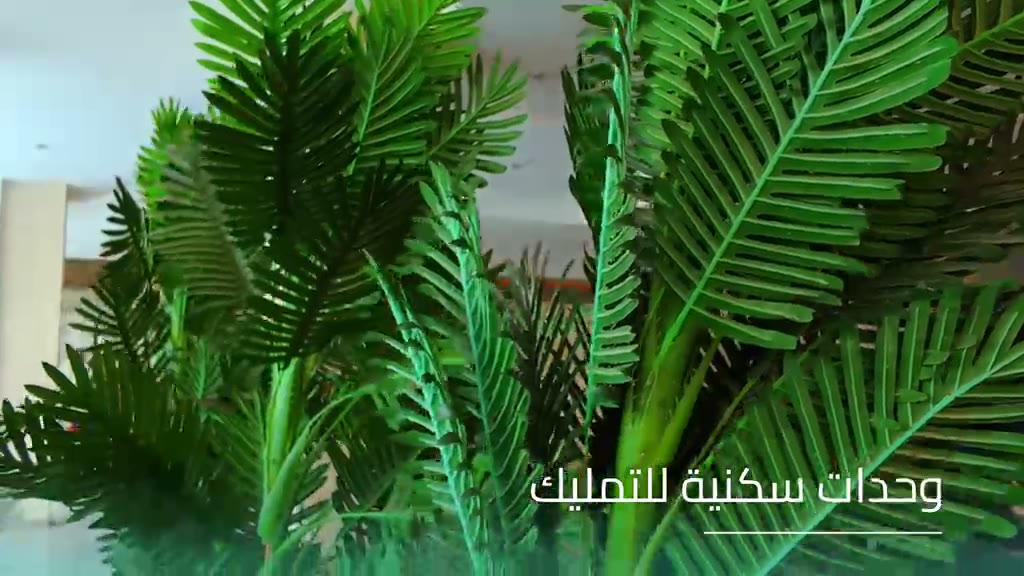  الفيديوهات