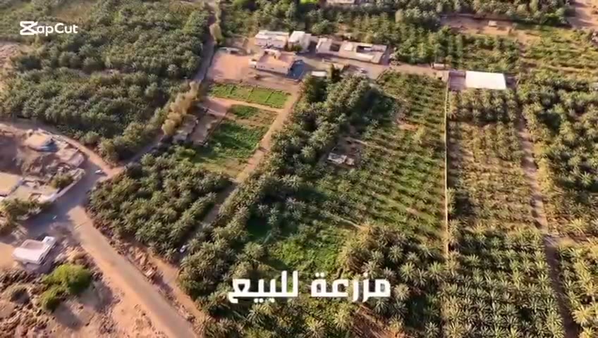  الفيديوهات