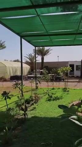  الفيديوهات