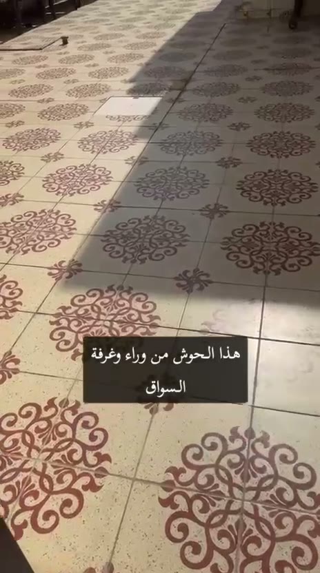  الفيديوهات