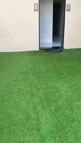 Videos