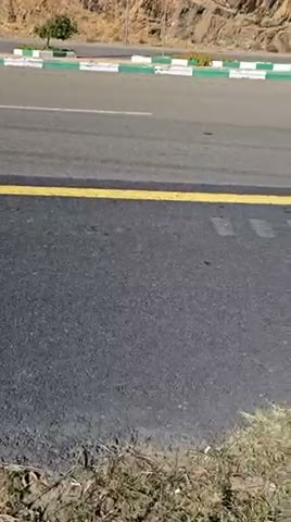 Videos