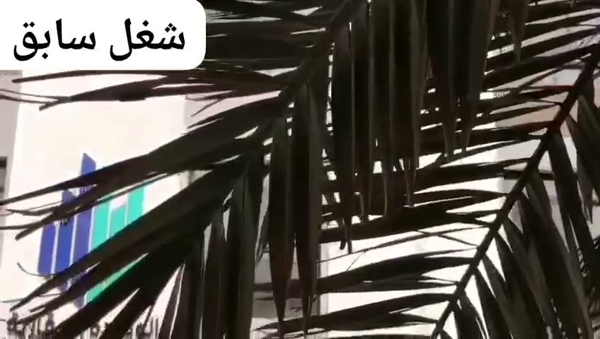  الفيديوهات