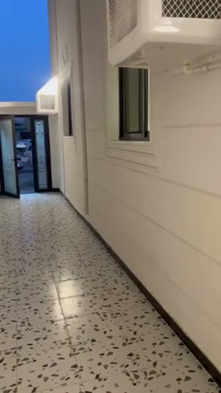 Videos