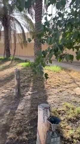 Videos