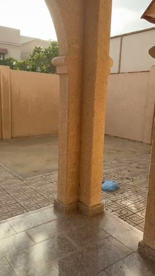  الفيديوهات