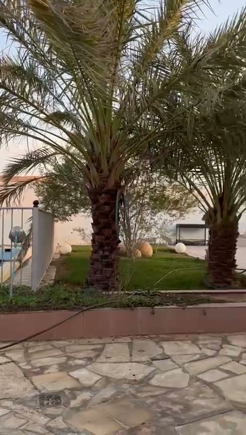  الفيديوهات