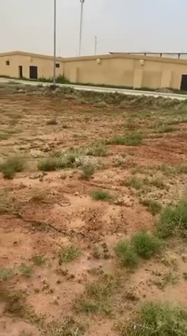 Videos