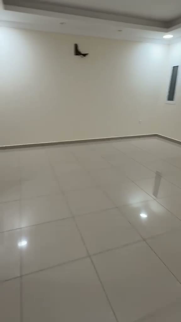 Videos